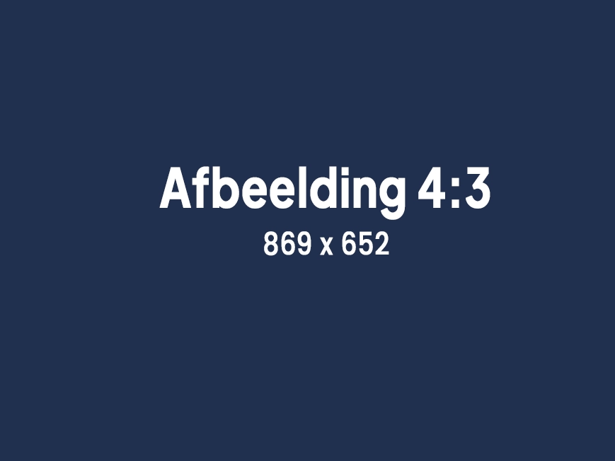 Afbeelding 4:3 869 x 652